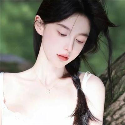 完美拍档2017